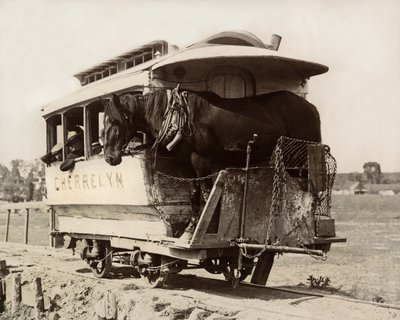 シェレリン・ホース・カー（コロラド州デンバー、1890年頃）（モノクロ写真 作： Nicolas Liez