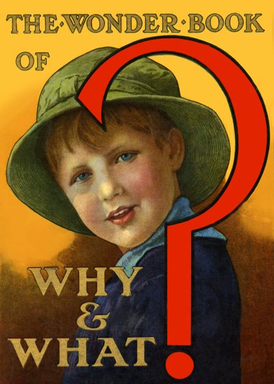 The Wonder Book of Why and What 作： Unbekannt