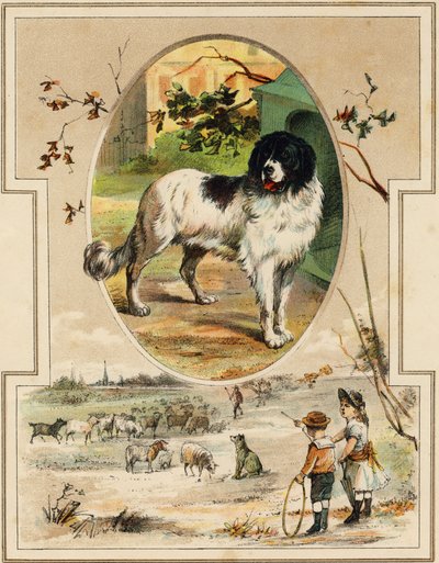 犬です。Mon premier Grand Alphabet "の中のエングレーヴィング。ベルナルダン＝ベシェ版、パリ、1890年頃。挿絵はA.des Lilleuls。ページなし、46ページ。寸法：31x22cm。 作： Unbekannt