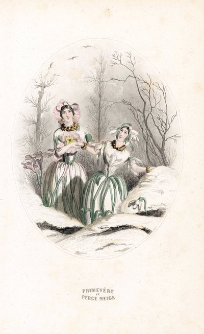 シャルル・ジェフロワ（1819-1882）作、ジャン・イグナス・イシドール・ジェラール（J.J.J.グランヴィル、1803-1847）の「Les fleurs animees」の挿絵に基づく。 作： Unbekannter Künstler