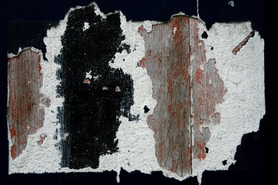 タイムマーク。過ぎ去る時間の目撃者として形を示す抽象芸術。木に描かれた絵の具の痕跡。撮影：ミシェル・ルナルデリ 作： Unbekannt