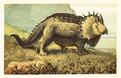 Triceratops prorsus、絶滅した草食恐竜。1908年（リトグラフ） 作： Unbekannter Künstler