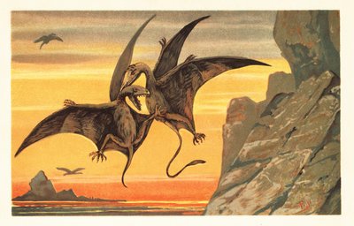 真っ赤な空に向かって飛行中に戦う 2 つのテロダクティル.1908 年 (リトグラフ) 作： Unbekannter Künstler