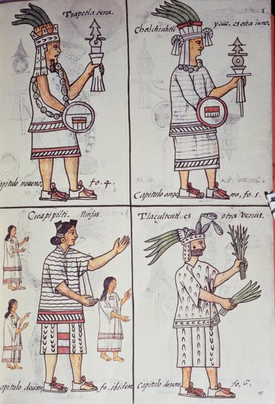 Tzapotlatena, Chalchiuhtlatonal, Cioapipitli and Tliltecuhtli, Florentine Codex, Bilingual version in Spanish and Nahuatl, General History of Things of New Spain (Historia general de las cosas de Nueva Espana), Aztec 作： William M. Timlin