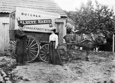 イギリス : お肉屋さんのカート。ピドルトレンサイド、c1900 作： Unbekannt