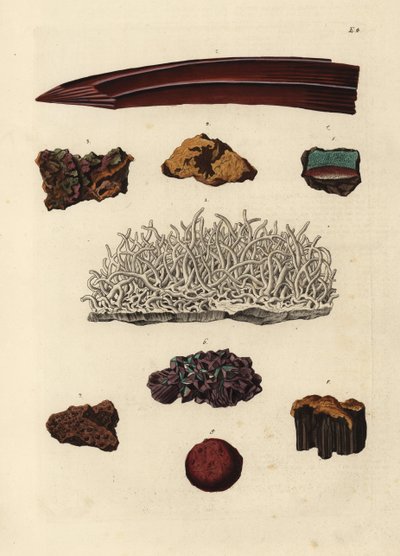 鉄鉱石の品種。ゲオルク・ヴォルフガング・クノール著『Deliciae Naturae Selectae of Kabinet van Zeldzaamheden der Natuur』（Blusse and Son, Nuremberg）の図版をもとにした手彩色銅版画。 作： Unbekannter Künstler