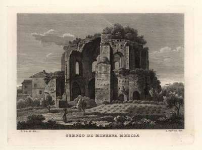 ローマ、ミネルバ・メディカ神殿（Tempio di Minerva Medica）またはニンファエウム（nymphaeum）の眺め 作： Unbekannt
