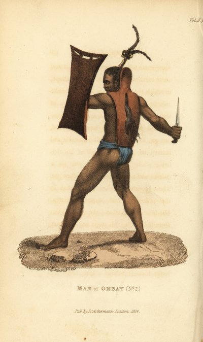 鎧、盾、クリスを身につけたオンバイの戦士。髪を束ねている。インドネシア、オンバイ島の男。フレデリック・ショベールの『The World in Miniature』に掲載されたジャック・アラゴのイラストをもとにした手彩色銅版画：アジア 作： Unbekannter Künstler