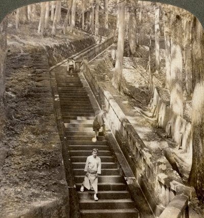 1904年、日光、家康将軍の墓への丘の上の古代の石の階段。 作： Underwood and Underwood
