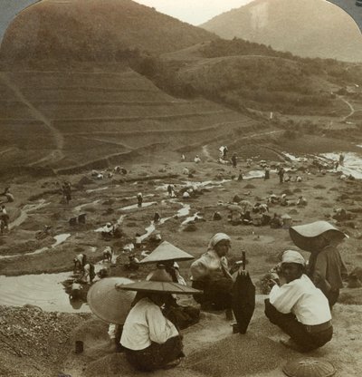 ルビー、モゴック、ビルマ、c1900年代の河床の浚渫。 作： Underwood and Underwood