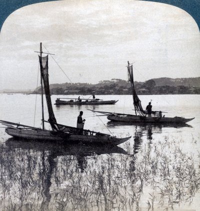 1904年、日本の横浜近郊に日没で帰ってくる漁船。 作： Underwood and Underwood