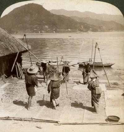 1904年、日本の内海の釣りビーチの横にある大麦。 作： Underwood and Underwood