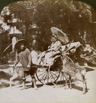 祈りに向かう途中で神聖な鹿に餌をやる少女、春日寺の敷地、奈良、1904 作： Underwood and Underwood