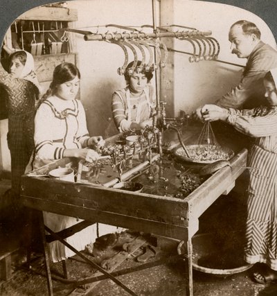 シルクの製造、シリア、1900年代。 作： Underwood and Underwood