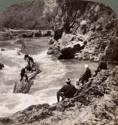 ログラフトに乗っている男性、1904年京都府桂川で保津急流を撮影 作： Underwood and Underwood