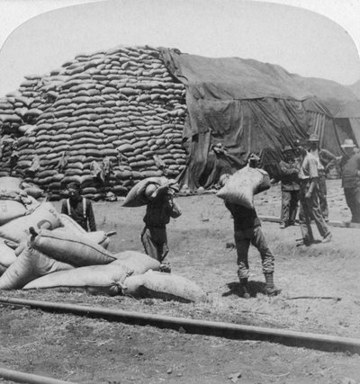 Tommysの忠実な友人、De Aar、南アフリカ、Boer War、1900年のトンのオートムギ。 作： Underwood and Underwood