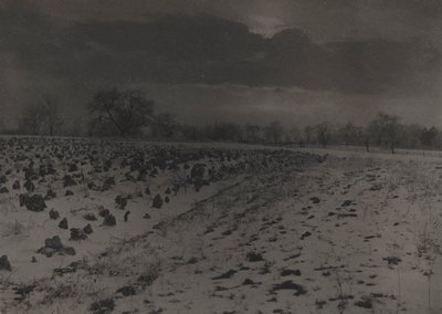 雪下のキャベツ畑 作： Unknown