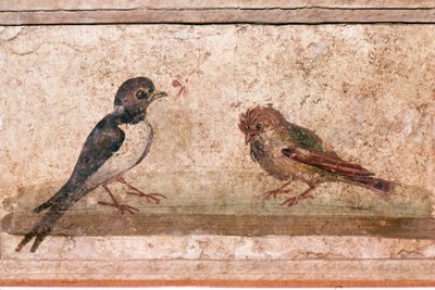 ツバメとスズメ ポンペイ近郊ボスコレアーレのローマ時代の壁画、1世紀 作： Unknown