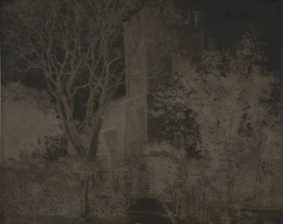 無題 作： Unknown
