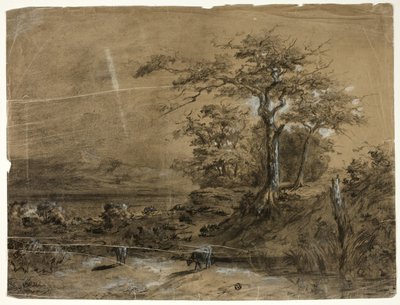 牛のいる森の風景 作： Unknown