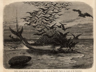 背中の帆の形をしたフィンのおかげで世界最速の魚である国際的な帆船が、海岸で故障し、カラスに襲われている。1851年から1852年にかけて、M.Pousselgueが「le tour」に掲載した「Quatre mois en Florida」という物語を説明するためのエングレーヴィング。 作： Unknown artist