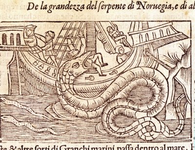 巨大な海蛇が船を襲い、乗組員を打ちのめす。スウェーデンの宗教家・地理学者であるオラウス・マグヌス（1490～1557）の版画「Historia de Gentis Septentrionalibus」（ヴェネツィア）。 作： Unknown artist