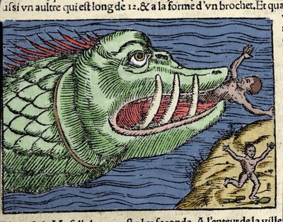 ノルウェーの海岸近くで、海の怪物が泳いでいる人を叩く。オラウス・マグヌス（1490〜1557）（スウェーデンの宗教家・地理学者）の版画「Historia de Gentis Septentrionalibus」（ヴェネツィア）。 作： Unknown artist