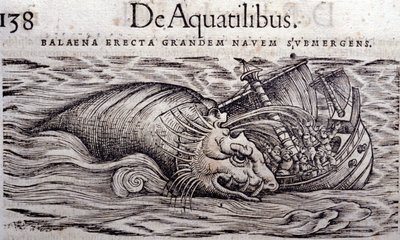クジラが船体を破壊して沈没させる。コンラッド・ゲスナー(1516-1565)の『動物史』のエングレーヴィング、ティグリ 作： Unknown artist