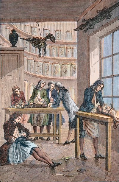 アルブレヒト・フォン・ハラー（Albert de Haller）（1708-1777）の研究室（スイス・ベルン） - ベルンにあるスイス人医師アルブレヒト・フォン・ハラー（1708-1777）の研究室 作： Unknown artist