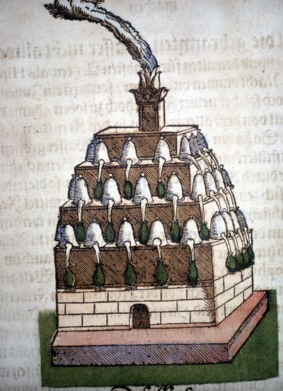 錬金術：Pietro Andrea Mattioli（Matthiole）（1500-1577）の書物からのアタノール4。フランクフルト 作： Unknown artist