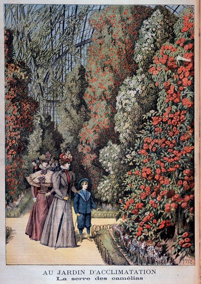 Jardin d