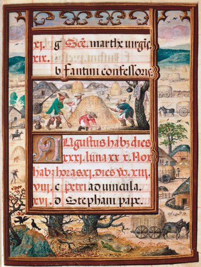 8月。仕事をする農民たち。ポルトガルのマヌエル1世（1469-1521）による写本「時祷書」のページ 1517年リスボン、Museo di Arte Antica 作： Unknown artist