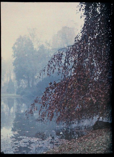 秋の風景、霧の中の湖と赤い木 - 1920年頃 (Autumn Landscape, Lake and Red Tree in fog) オートクローム無名コレクション privee 作： Unknown Artist