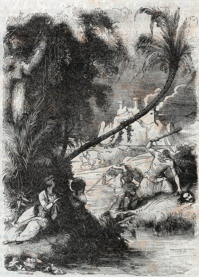 グリフォンとアキラントのオルレとの戦い-1851年の版画（ルドヴィコ・アリオストの「激情のロラン」（Orlando furioso）（16世紀）より）、通称「アリオスタ」-トレッサン伯爵がイタリア語から翻訳し、ギュスターヴ・ハーバードが出版した版。 作： Unknown artist