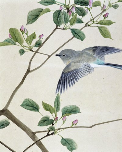 鳥 - 日本画（李歐知夢筆） 19世紀後半 作： Unknown artist
