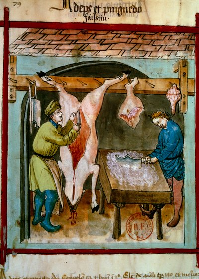 屠殺：豚の等身大の姿。医食同源のミルキングからのイルミネーション "Tacuinum sanitatis" 作： Unknown artist