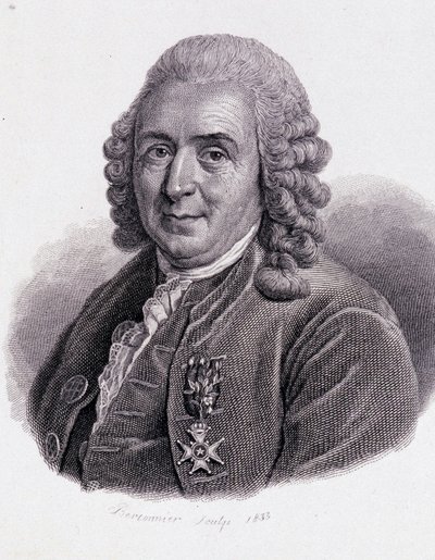 カール・フォン・リンネ スウェーデンの博物学者・作家（1707～1778） - 「有用な人間の肖像」より 作： Unknown artist