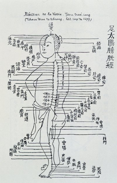 中国鍼灸：膀胱の経絡について 作： Unknown artist