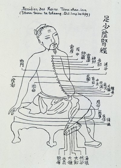 中国鍼灸：腎の経絡 作： Unknown artist