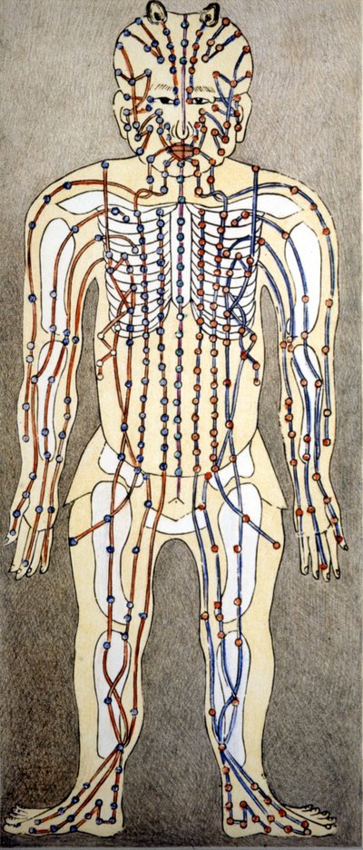漢方薬。鍼を打つ場所には体の流れがある。19世紀には 作： Unknown artist