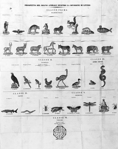 カール・フォン・リンネの分類 スウェーデンの博物学者・作家（1707年〜1778年）。19世紀のSd.エングレーヴィング。 作： Unknown artist