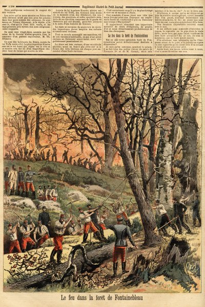 フォンテーヌブローの森で起きた犯罪的な火災。Le petit journal" 22/04/1893に掲載されたエングレーヴィング。セルバのコレクション。 作： Unknown artist