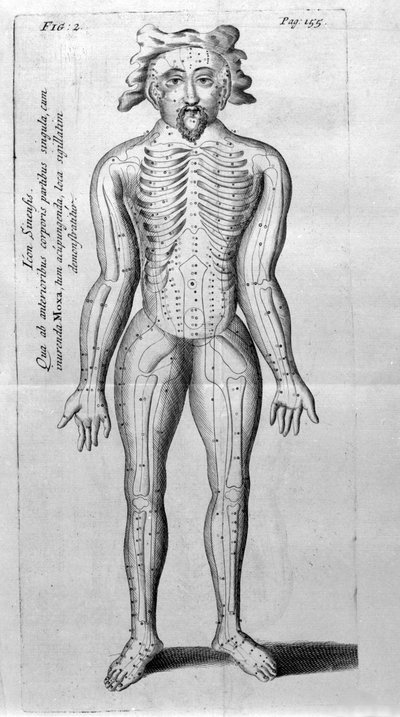 De Acupunctura by W.Ten Rhijne.ロンドン1683年。鍼灸を扱った最初の西洋文献。 作： Unknown artist