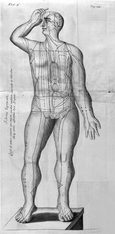 De Acupunctura by W.Ten Rhijne.ロンドン1683年。鍼灸を扱った最初の西洋文献。 作： Unknown artist