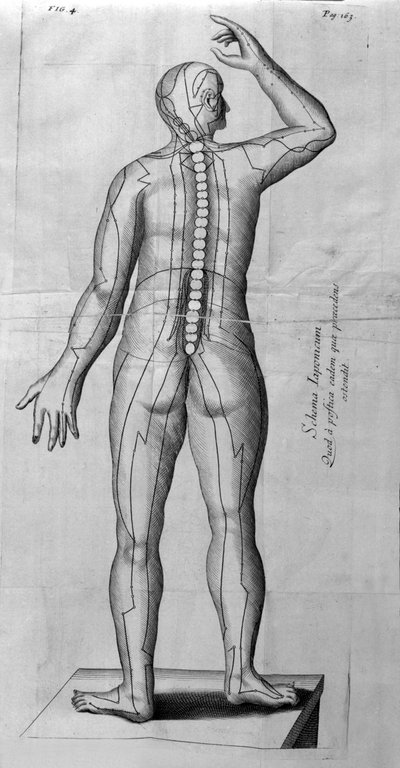 De Acupunctura by W.Ten Rhijne.ロンドン1683年。鍼灸を扱った最初の西洋文献。 作： Unknown artist