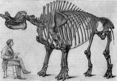 恐竜の骨格。"Brontops robustus」、3月。ロッキー山脈の中新世。マーチ氏が研究所のアルバート・ゴードリー氏に伝えた図面を複製したもの。La Nature: Revue des sciences et de leurs applications aux arts et a family」に掲載された版画。 作： Unknown artist