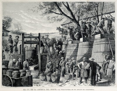 19世紀のカリフォルニアのブドウ栽培を描いた1876年の版画。 作： Unknown artist