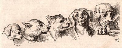 犬から人間への進化 作： Unknown