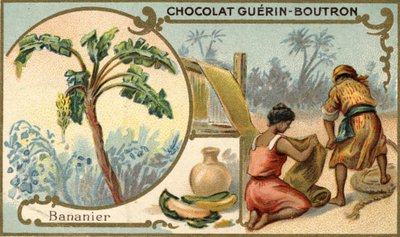 バナナの皮の繊維を使った生地。ゲラン・ブトロン社のチョコレートのパッケージに使われているクロモリトグラフィー。 作： Unknown artist