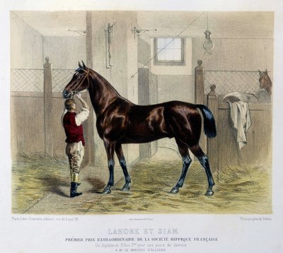 ケンタウルス」1866年の有名競走馬たち 作： Unknown artist